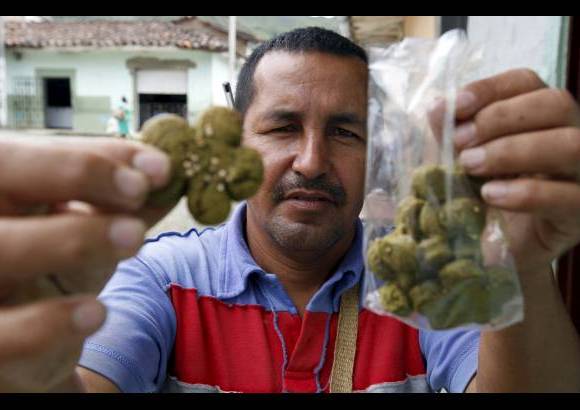 Manuel Saldarriaga - Erney Ruiz, habitante del corregimiento Lerma, se niega a dejar la tradici&#243;n de masticar coca y desea montar una empresa productora de alimentos con base en la hoja de coca. La mitad del pueblo vive de este cultivo.