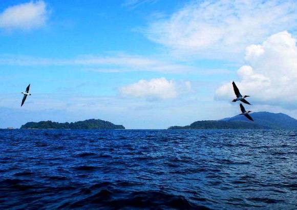 FOTO MANUEL SALDARRIAGA - Declarada Patrimonio de la Humanidad por la Unesco, la isla Gorgona cuenta con 155 especies de aves, 41 de reptiles y 17 de mamíferos.