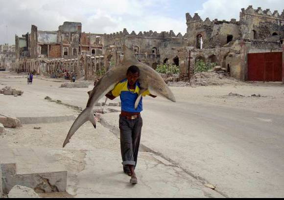 AP - El somal&#237; Omar Feisal, de la agencia Reuters, gan&#243; en la categor&#237;a Diario &#218;nico por una imagen que muestra la vida un hombre que lleva un tibur&#243;n por las calles de Mogadiscio, Somalia.
