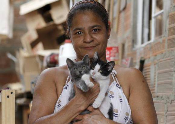 Donaldo Zuluaga - Dora recibe principalmente gatos beb&#233;s, para evitar conflictos con los m&#225;s grandes.