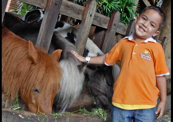 David Sánchez Mejía - La interacción con los animales es uno de los mayores atractivos del parque los niños pueden darle comida a los animales e incluso tetero a los pequeños.