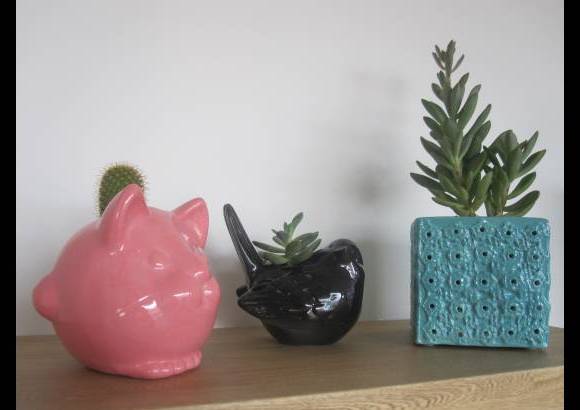 Verde Menta - También son tendencia gatos y aves.