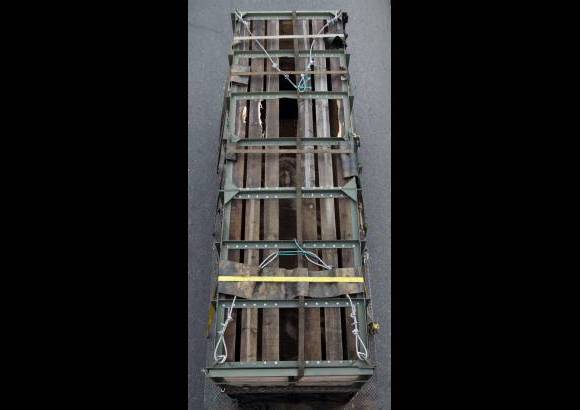 Manuel Saldarriaga - Vera tendrá un espacio de 20.000 metros cuadrados (20 veces más grande que el que tenía en el zoológico) donde podrá moverse con total libertad en medio de la naturaleza, lo cual implica un gran cambio de vida para ella.