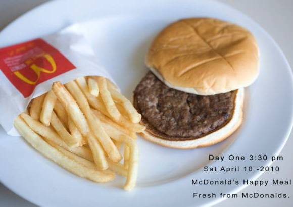 Foto cortes&#237;a - La fot&#243;grafa neoyorquina Sally Davies celebr&#243; el segundo aniversario de su proyecto &quot;Happy Meal&quot;, con el que cuelga en internet las im&#225;genes que toma casi diariamente de una hamburguesa que compr&#243; en 2010 en una conocida cadena de comida r&#225;pida y que, pese al paso del tiempo, se conserva sin problemas.