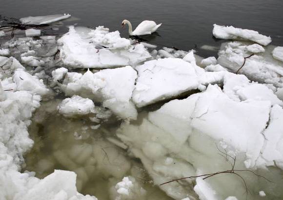 Reuters - En el vecino Montenegro, el ejército estadounidense respondió a una solicitud del gobierno para enviar dos helicópteros Black Hawk para rescatar a personas que están en regiones incomunicadas por la nieve en el pequeño país balcánico, informó la embajada de Estados Unidos.