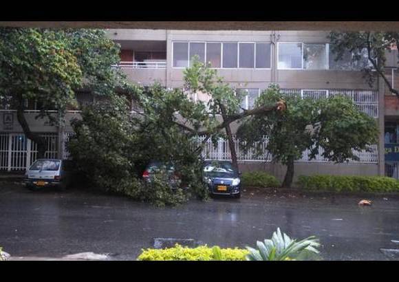 Cortes&#237;a @Christo_Cardona - En la Villa de Aburr&#225;, al occidente de Medell&#237;n, un &#225;rbol que cay&#243; afect&#243; varios veh&#237;culos.