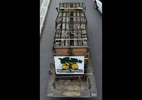 Manuel Saldarriaga - Un gigante operativo para trasladar a Vera se cumplió este jueves en el Zoológico Santa Fe de Medellín.