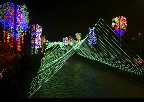 Juan Sebasti&#225;n Carvajal Beltr&#225;n - La ribera del r&#237;o Medell&#237;n luce los &#225;rboles m&#225;s coloridos y representativos de Antioquia.