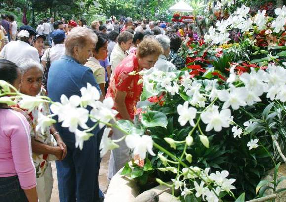 FOTO EL COLOMBIANO - El Jardín Botánico Joaquín Antonio Uribe es un espacio de encuentro natural en medio de la ciudad, ideal para el conocimiento, el descanso y la relajación. Declarado Patrimonio Cultural de Medellín, es uno de los más bellos sitios de Antioquia, el país y el mundo dedicados a la botánica.