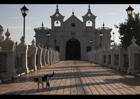 Mario Franco-Colprensa - El Cementerio Municipal de Mompox, Bol&#237;var, es un lugar fascinante que a lo largo de los a&#241;os ha tenido un apacible deterioro, en sus tumbas se pueden encontrar l&#225;pidas que datan del a&#241;o 1831. El descanso eterno de sus hu&#233;spedes es singularmente cuidado por gatos, felinos que se pasean por las tumbas en lo que parecieran rondas de estricta vigilancia.