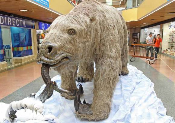 Juan Fernando Cano - Perezoso terrestre (Megatherium americanum), se encontraba en las estepas cubiertas y en los bosques de Am&#233;rica del Sur. N&#243;tese el tama&#241;o de las u&#241;as.