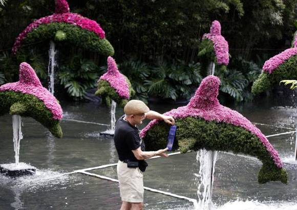 FOTO EL COLOMBIANO - El Jardín Botánico Joaquín Antonio Uribe es un espacio de encuentro natural en medio de la ciudad, ideal para el conocimiento, el descanso y la relajación. Declarado Patrimonio Cultural de Medellín, es uno de los más bellos sitios de Antioquia, el país y el mundo dedicados a la botánica.