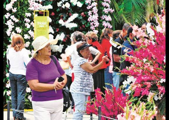 FOTO EL COLOMBIANO - El Jardín Botánico Joaquín Antonio Uribe es un espacio de encuentro natural en medio de la ciudad, ideal para el conocimiento, el descanso y la relajación. Declarado Patrimonio Cultural de Medellín, es uno de los más bellos sitios de Antioquia, el país y el mundo dedicados a la botánica.