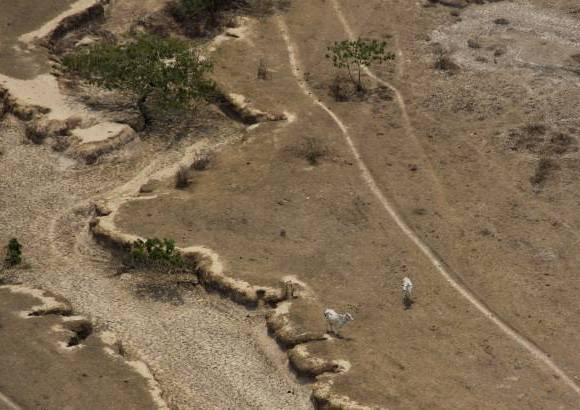 Foto: Luisa Gonz&#225;lez - Colprensa - La afectaci&#243;n de los p&#225;ramos ser&#237;a la primera causa. Los r&#237;os y cuerpos de agua de Paz de Ariporo, y en general los del departamento del Casanare, se alimentan o nacen en la Cordillera Oriental, principalmente en el p&#225;ramo del Cocuy.