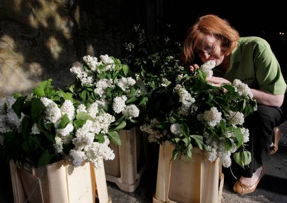 AP - El interior de la abad&#237;a londinense de Westminster se convirti&#243; en un bosque artificial durante la boda entre el pr&#237;ncipe Guillermo y su novia, Kate Middleton.