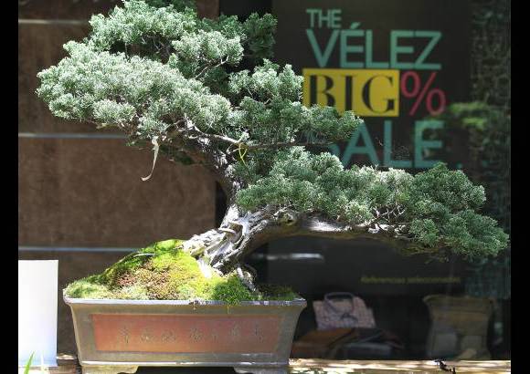 Róbinson Saénz - La exposición incluye una zona de venta y pedagogía permanente.