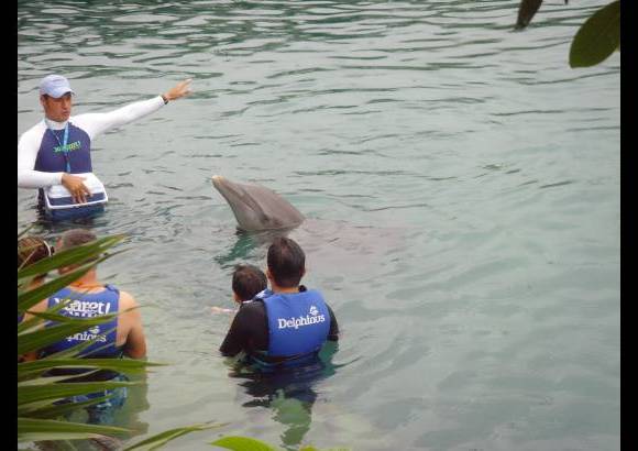 Liliana Vélez de Restrepo - El nado con delfines se puede practicar en piscinas o entornos marinos.