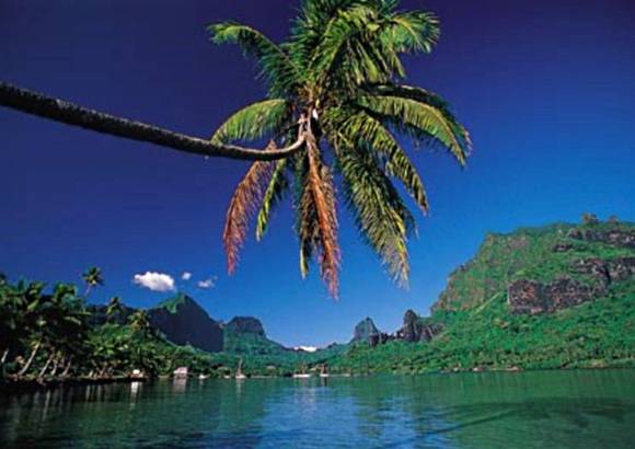 FOTO CORTESÍA TAHITÍ TURISMO - El cupo en la Copa Confederaciones de Brasil lo consiguieron luego de vencer a Nueva Caledonia y proclamarse campeones de la Copa de Oceanía de la Fifa.