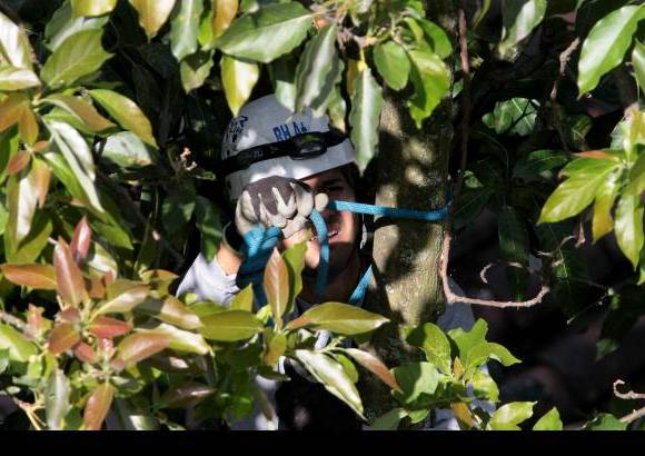 Donaldo Zuluaga - Los bomberos no pudieron rescatar a Lorena, que se trep&#243; a un &#225;rbol m&#225;s alto.