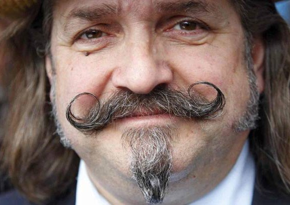 concurso de bigotes