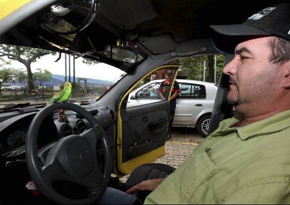 Jaime P&#233;rez - Cuando prestaba un servicio en su taxi, Juan Carlos Restrepo encontr&#243; a un periquito perdido y sin alientos. De inmediato, lo cobij&#243; y le dio una galleta remojada en agua para estabilizarlo. Hoy Ni&#241;o, como llam&#243; al perico, come, canta, se ba&#241;a y acompa&#241;a a este hombre en sus jornadas laborales.