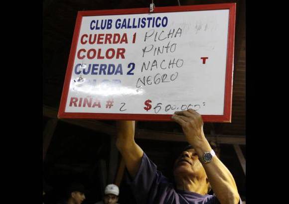 Julio C&#233;sar Herrera - Por muy bueno que sea un gallo, no es com&#250;n que venza en m&#225;s de 10 ocasiones. Dicen que &#34;Culimbo&#34; se llamaba un gallo que gan&#243; 22 pelas.