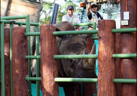 Jaime P&#233;rez - Vera tendr&#225; un espacio de 20.000 metros cuadrados (20 veces m&#225;s grande que el que ten&#237;a en el zool&#243;gico) donde podr&#225; moverse con total libertad en medio de la naturaleza.
