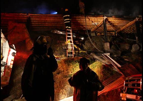 Edwin Bustamante - Un incendio destruy&#243; un galp&#243;n de gallinas y pollos en la noche del viernes.