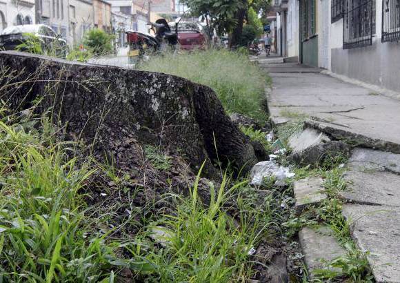 Manuela Palacio Hern&#225;ndez - Este and&#233;n est&#225; en total deterioro. Se ubica en la carrera 72 con calle 43, sector de Laureles San Joaqu&#237;n.