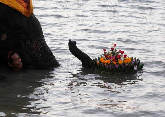 Reuters - Los tailandeses homenajearon a la diosa del agua siguiendo la milenaria tradici&#243;n, aunque en esta ocasi&#243;n las graves inundaciones que afectan a Tailandia dieron pocos motivos para festejar el Festival de &quot;Loy Kratong&quot;.