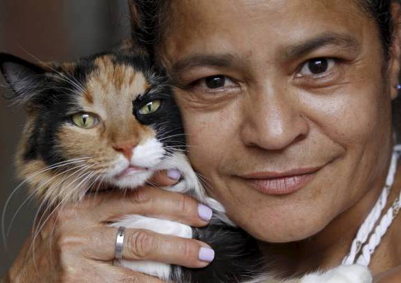Donaldo Zuluaga - Ella es Lupita, una gata que por su edad y tama&#241;o no aplica para adopci&#243;n. Es la compa&#241;era de Dora.
