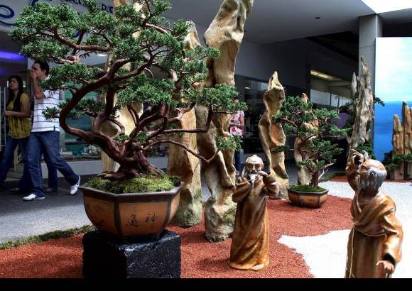 Manuel Saldarriaga - La XIV Exposici&#243;n de Bons&#225;i en el centro comercial Sandiego inici&#243; este 22 de julio e ir&#225; hasta el 7 de agosto.
