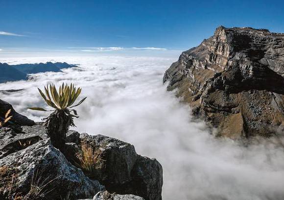 Colprensa - Estos ambientes extremos donde la vida es dif&#237;cil, est&#225;n llenos de magia y belleza.