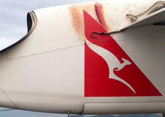 Reuters - Los pasajeros de un avión de la aerolínea australiana Qantas vivieron con inquietud dos horas de vuelo al percatarse de que en su viaje los acompañó una serpiente pitón de tres metros de longitud.