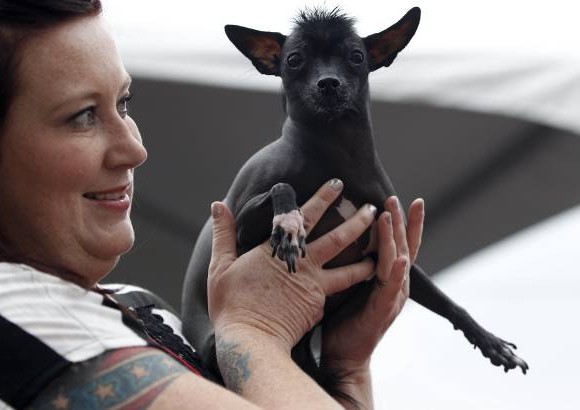 Reuters - Los perros m&#225;s feos son premiados despu&#233;s de ser evaluados por el jurado.