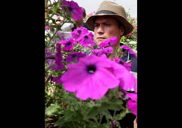 Donaldo Zuluaga - El Museo Vivo de Las Flores tiene 170 especies cultivadas, que muestran lo mejor de las flores antioque&#241;as.