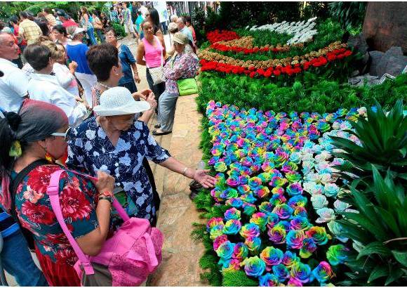 FOTO EL COLOMBIANO - Los casi 500 eventos contemplados en la programación oficial están distribuidos prácticamente en toda la ciudad, enfatizó la Secretaria de Cultura de Ciudadana.