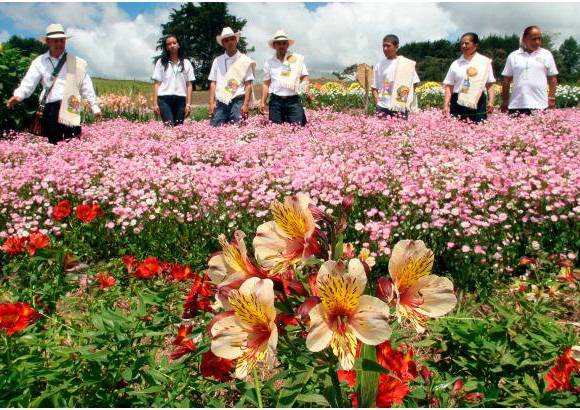 FOTO EL COLOMBIANO - Otro aspecto que se busca es que la Feria motive a la gente a moverse por la ciudad de forma general, que la recorra, la visite y la disfrute desde un sano esparcimiento.