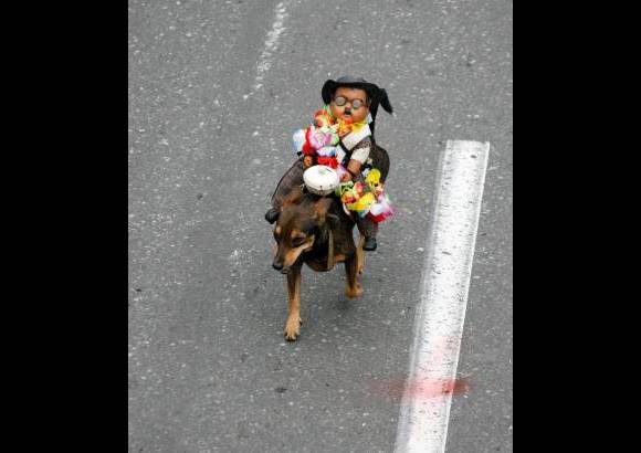 Esteban Vanegas - Hasta los perros se unieron al Desfile a Caballo.