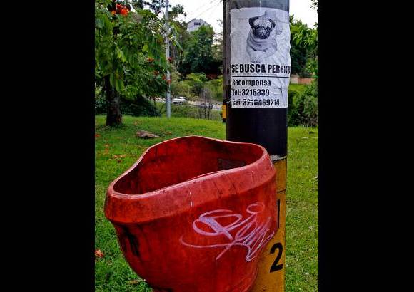 Henry Agudelo - Una búsqueda que el tiempo y la lluvia se encargan de borrar para dar paso a nuevos anuncios.