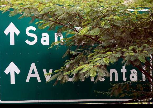Foto Julio César Herrera - Aunque existen las señales de orientación, a veces no son visibles.