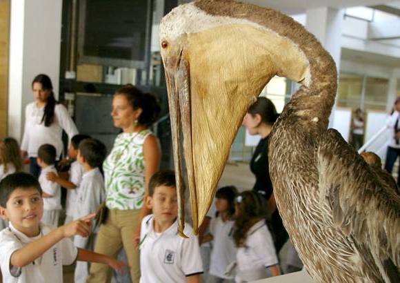 FOTO EL COLOMBIANO - El Planetario de Medellín Jesus Emilio Ramírez González ofrece un escenario a la altura de los más modernos del mundo, dedicado a la labor científica y educativa de la ciudad. Está integrado a la mayor zona lúdica, tecnológica y científica de la capital antioqueña.