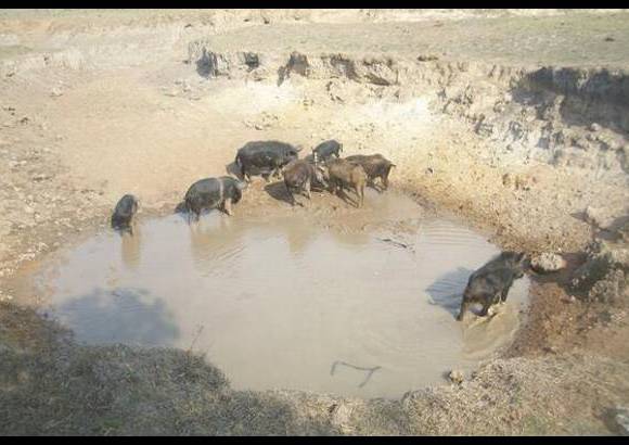 Foto: Heidy Puerta - Todas estas medidas de emergencia son de carácter temporal, porque los efectos del fuerte verano son un componente del cambio climático, por lo que el Gobierno seccional está trazando un plan de acción a corto, mediano y largo plazo.