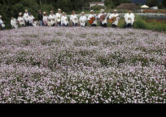 Foto Donaldo Zuluaga - Santa Elena, una vez m&#225;s, es la anfitriona de la Feria de las Flores 2012.