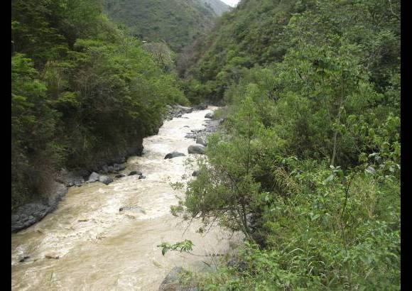 Fredy Gómez - El parque Las Orquídeas tiene alturas entre 350 y 3.400 m.s.n.m., lo que permite que allí vivan las más variadas especies de fauna y flora.