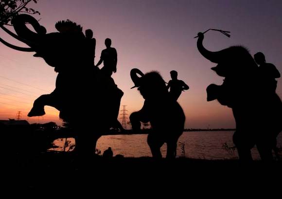 Reuters - Grandes extensiones de cultivos, ciudades y aldeas de casi 30 provincias del total de 77 que tiene Tailandia, quedaron anegadas.