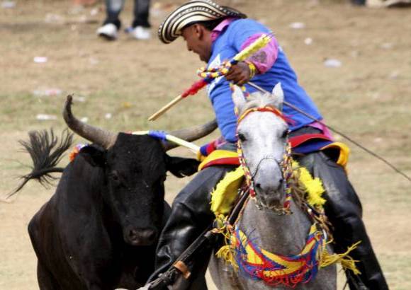 Reuters - Las organizaciones defensoras de los animales buscan que las leyes nacionales proh&#237;ban las corridas de toros, las corralejas, las peleas de gallos y cualquier otra forma de maltrato animal pero hasta el momento son muy pocos los avances alcanzados en su protecci&#243;n.