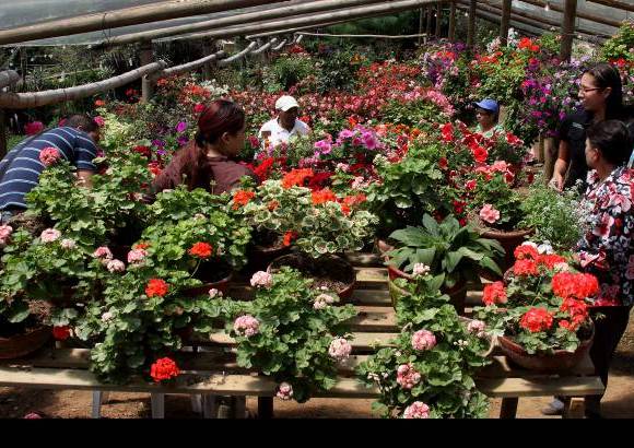 Donaldo Zuluaga - La Alcald&#237;a de Medell&#237;n inaugur&#243; en el corregimiento de San Crist&#243;bal el Museo Vivo de Las Flores.