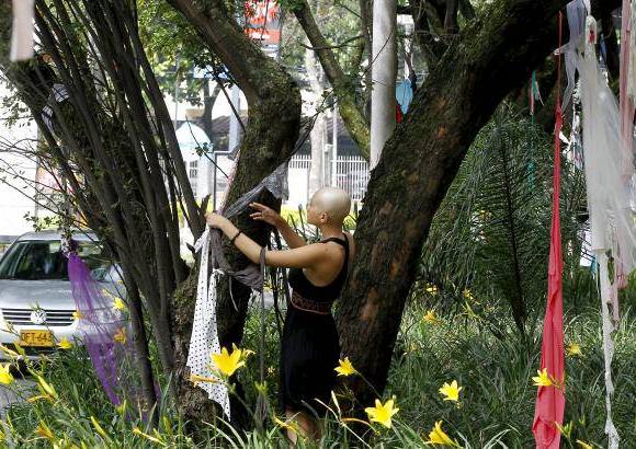 Jaime Pérez - Con retazos de colores amarrados a los árboles se llama la atención sobre la extinción del túnel verde.