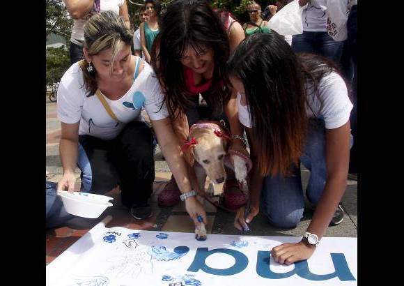 Julio C&#233;sar Herrera - Fue la tercera marcha animalista organizada por Orca, luego de las de 2011 y 2012.